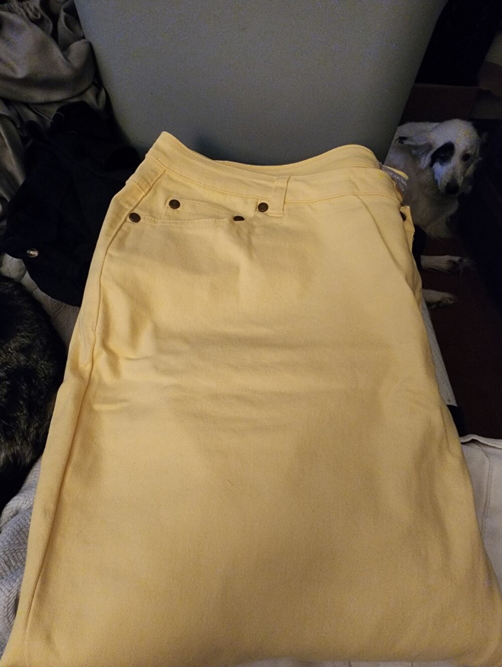Woman Within Pale Yellow Jeans
